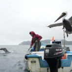 Puerto López en Ecuador, un sangriento escenario de lucha territorial entre grupos de narcotráfico
