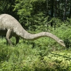 Los grandes dinosaurios y los mamuts eran más lentos de lo que se pensaba, según un estudio