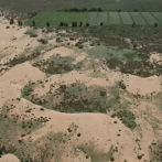 China intenta frenar el avance del desierto utilizando microalgas