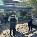 DNCD capturó a tres hombres por tráfico de drogas y otros delitos