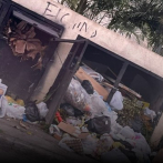 Residencial Juan Rafael clama por intervención ante animales sueltos y basura