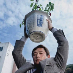 “La única opción”: sátira sobre el capitalismo de Park Chan-wook