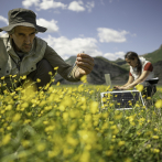 Pérdida de biodiversidad supone un riesgo para la economía