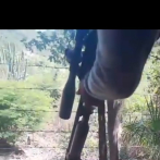 Apresan hombre en Baní por incurrir en maltrato animal en contra de perros callejeros