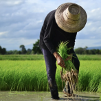Nueva oportunidad para la agropecuaria