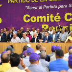 Arranca la carrera de los ocho presidenciales del PLD