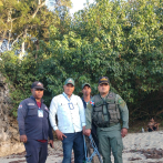 Cocodrilo que había escapado en Puerto Plata fue encontrado con vida