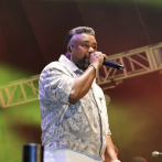 Luis Miguel del Amargue y Bulin 47 cierran el Carnaval Vegano 2026