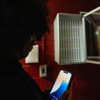 ¿Cómo abordar noticias angustiosas y encontrar mecanismos de afrontamiento? Esto dicen los expertos