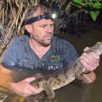 Capturan cocodrilo en un arroyo australiano a 1,200 millas de su hábitat tropical