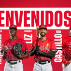 De la Cruz, Liz, Hernández y Castillo firman como agentes libres con el Escogido