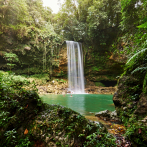 El Observatorio: conciencia vigilante del patrimonio natural