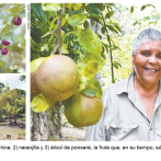 Guardiana de las frutas en extinción