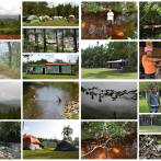 Valle de Dios y río Colorado