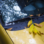 Reduce la circulación de vehículos en Argentina por aumento de combustible y subsidios impagos