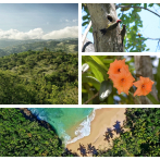 Michela Izzo: “El Observatorio (de Políticas Ambientales y Áreas Protegidas) constituye un mecanismo de control social constructivo”