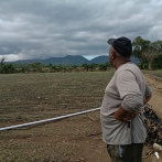 Denuncian pérdidas millonarias en la producción agrícola y avícola de Valverde y Monte Cristi