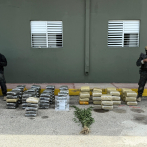 Ocupan más de 600 libras de presunta marihuana en Elías Piña