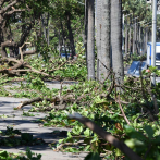 Persisten las calles bloqueadas, cables y árboles en el suelo por lluvias en Gran Santo Domingo