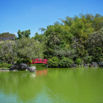 Puentes botánicos 2026: un hito para la ciencia dominicana