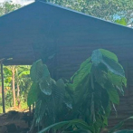 Rescatan adolescente de 15 años raptada en Bonao