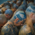 Procesan a 468 miembros de Mara Salvatrucha