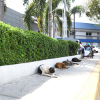 Hospital Moscoso Pueblo será sometido a limpieza profunda, intervendrán emergencia