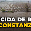 Cultivos agrícolas son destruidos por crecida de ríos en Constanza