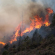 1,200 personas evacuadas por incendio forestal en las afueras de Los Ángeles