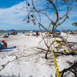 Florida se mantuvo en 2023 como el primer destino turístico doméstico en EE. UU.