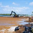 Sargazo llena la playa de Boca Chica