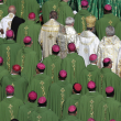 Claves para entender el sínodo de obispos que tratará el futuro de la Iglesia católica