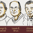El Nobel de Química para los autores del descubrimiento y síntesis de los puntos cuánticos