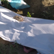 Encuentran al menos seis cuerpos de varios recién nacidos en el cementerio Cristo Salvador