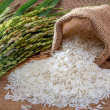 Exportaciones de arroz de EE.UU. a Haití tienen niveles nocivos de arsénico, según estudio