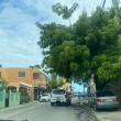 La delincuencia asfixia a los residentes del sector Ponce en Guaricanos