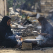 Mujeres en Gaza: parir en la calle, desnutrición y pobreza menstrual