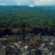 Casi 3,000 incendios en la Amazonía brasileña, récord para mes de febrero