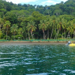 Golfo Dulce, un atractivo turístico de Costa Rica que deberías visitar