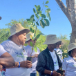 Realizan jornada de reforestación en humedales del Río Ozama