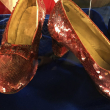 Un segundo hombre es acusado en relación con el robo en 2005 de las zapatillas de rubí usadas en 'El Mago de Oz'