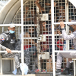 Trasladan a otros 150 reclusos de La Victoria a los centros 19 de Marzo en Azua y San Juan de la Maguana