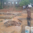 Más de 150 casas se afectaron por las lluvias del lunes en Las Terrenas