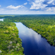 Investigación muestra que cuarta parte de animales de agua dulce están amenazados de extinción