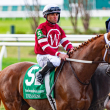 Joel Rosario confía en su caballo este sábado en el Kentucky Derby