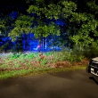 Encuentran a tres niños hispanos muertos en un parque de Georgia, EE.UU.
