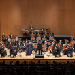 Aisha Syed toca junto a Filarmónica de Qatar
