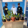 Policía anuncia el arresto del “Ladrón de Las Orquídeas”