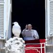 El papa Francisco lamenta que existan cristianos en el mundo perseguidos y discriminados por su fe