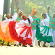 El Ballet Folklórico Nacional Dominicano representará al país en festival de danzas y música en Francia